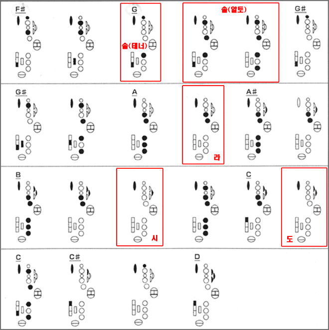 n1.gif